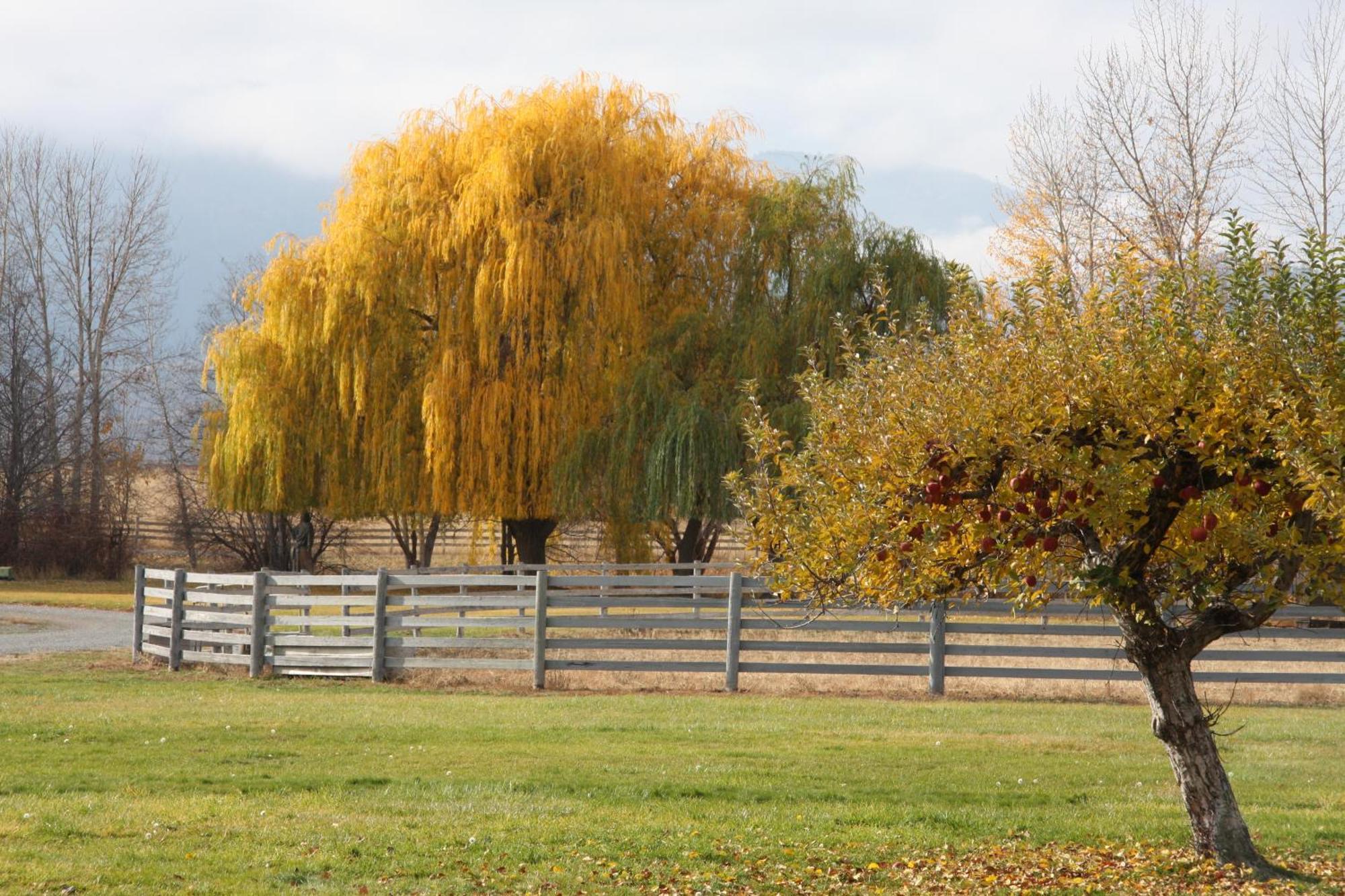 Casia Lodge And Ranch Twisp 외부 사진